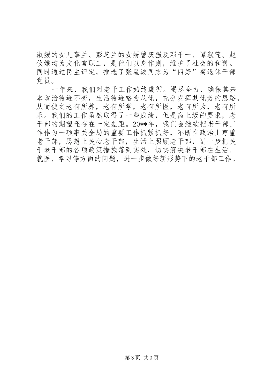 总工全老龄办年终总结_第3页