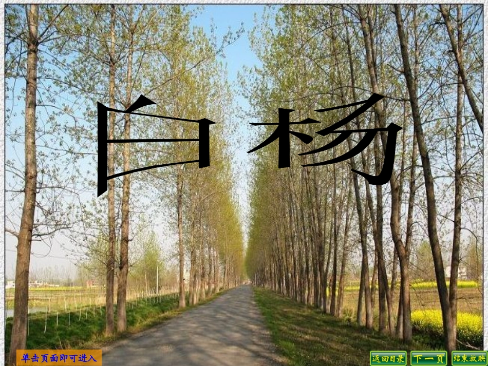 人教新课标五年级语文下册《白杨6》PPT课件_第1页