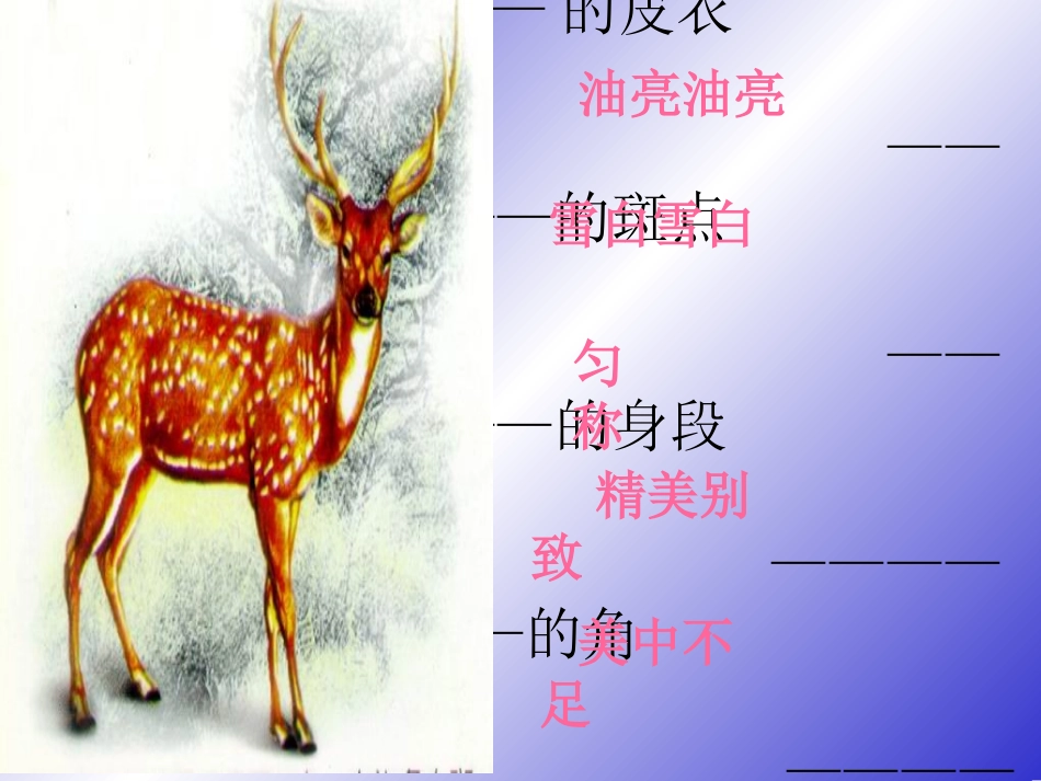 颜硕燕一只梅花鹿课件_第2页