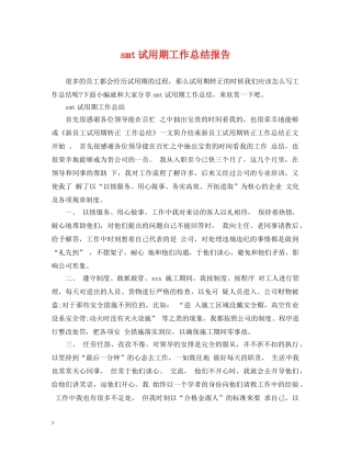 smt试用期工作总结报告 