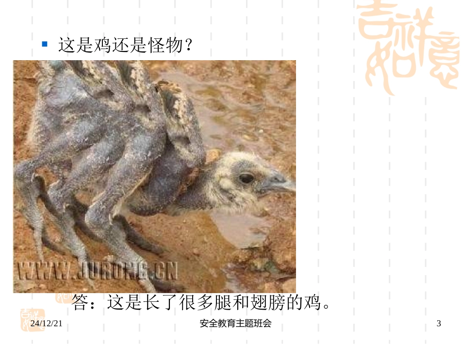 小学主题班会《小学生食品安》课件_第3页