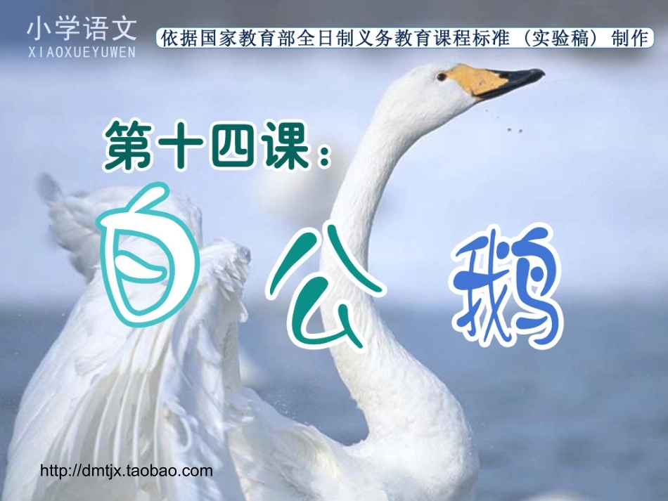 《白公鹅》课件_第1页