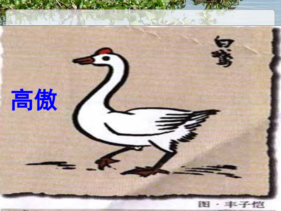 《白公鹅》课件_第2页