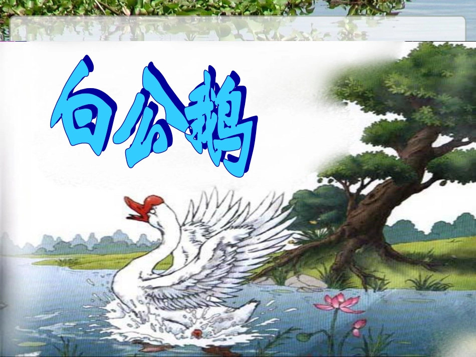 《白公鹅》课件_第3页