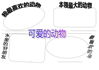 可爱的动物调查表