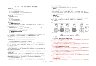 学案ATP的主要来源细胞呼吸