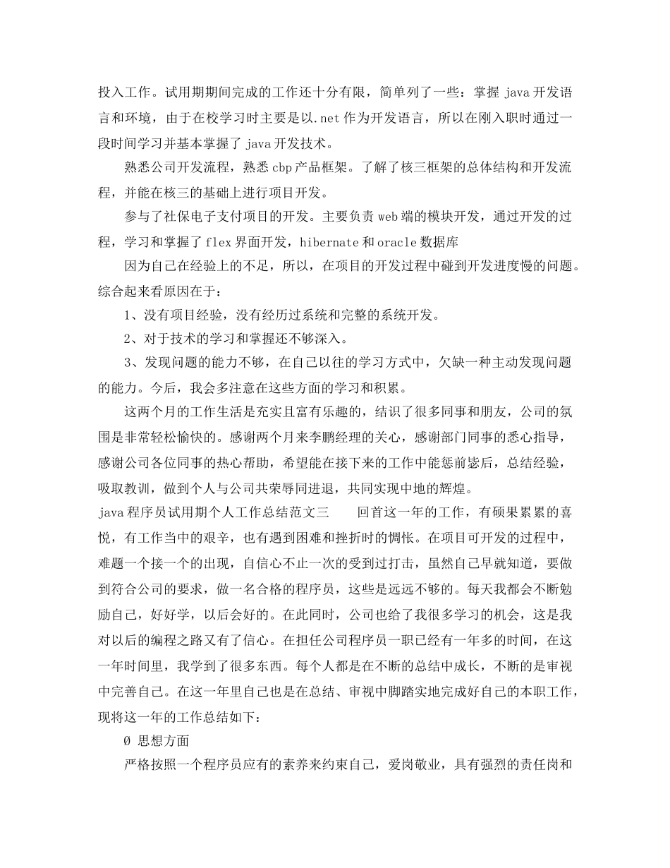 java程序员试用期个人工作总结 _第3页