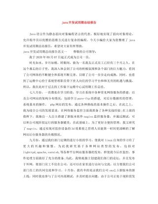 java开发试用期总结报告 