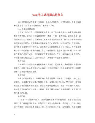 java员工试用期总结范文 