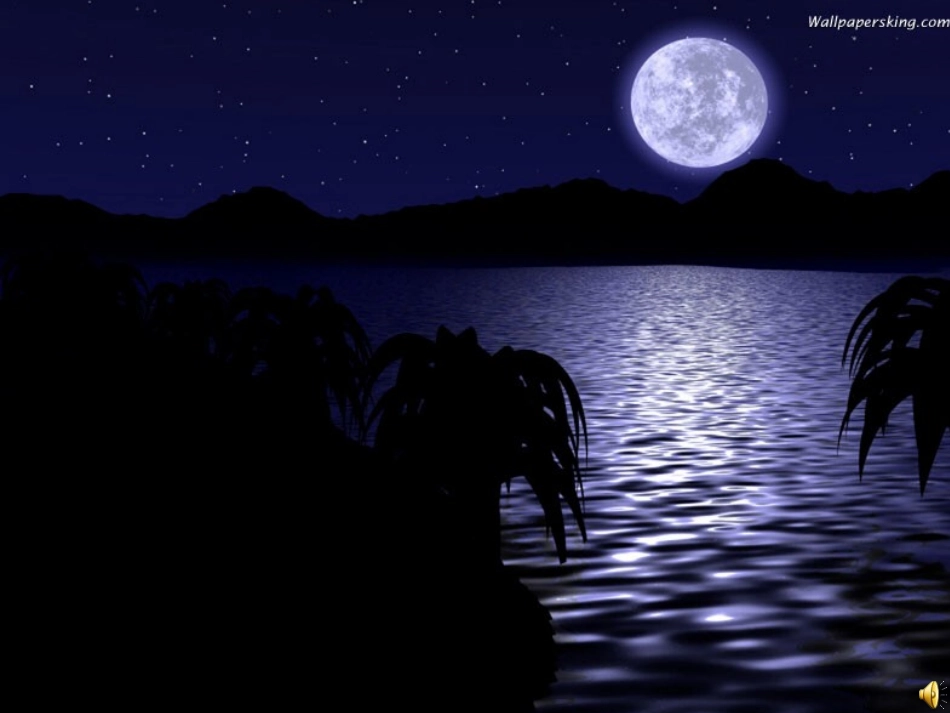 大海睡了_2课_第2页