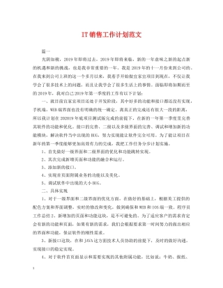 IT销售工作计划范文 