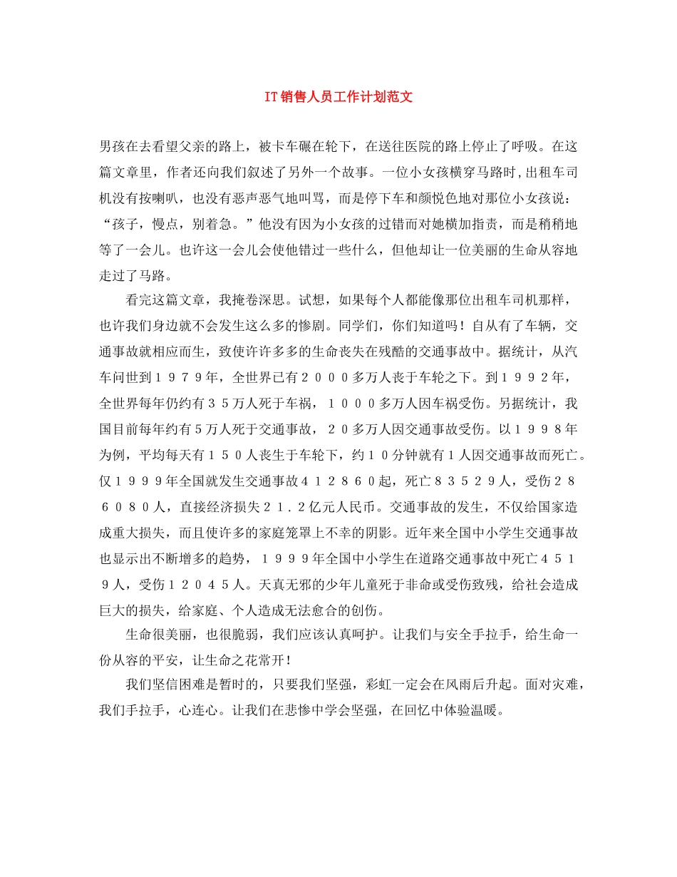 IT销售人员工作计划范文 _第1页