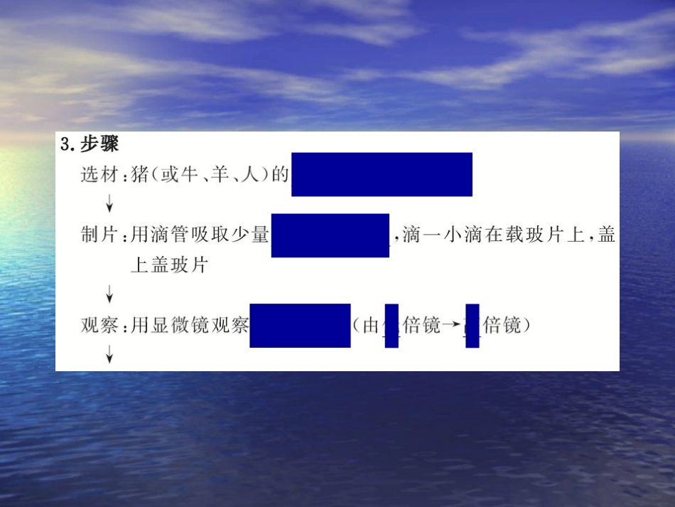 细胞膜系统的边界_第3页