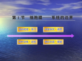 细胞膜系统的边界