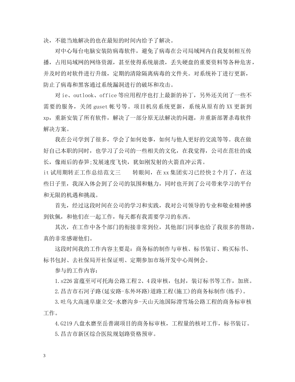 it试用期转正工作总结 _第3页
