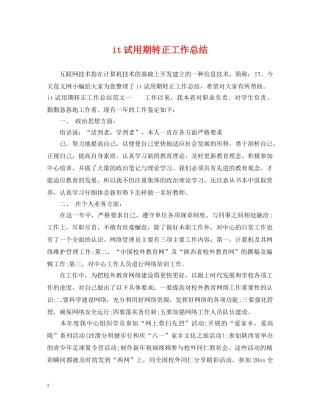 it试用期转正工作总结 