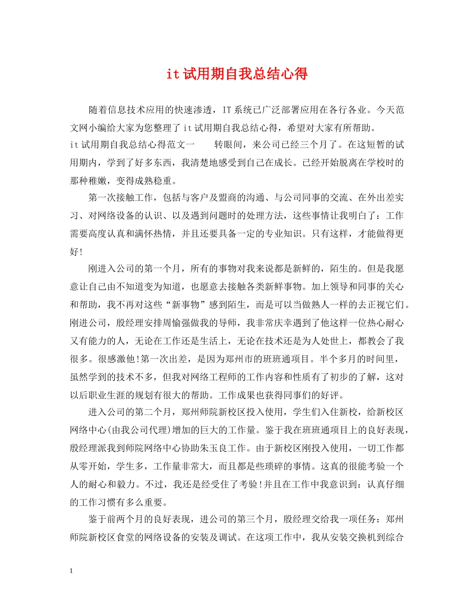 it试用期自我总结心得 _第1页