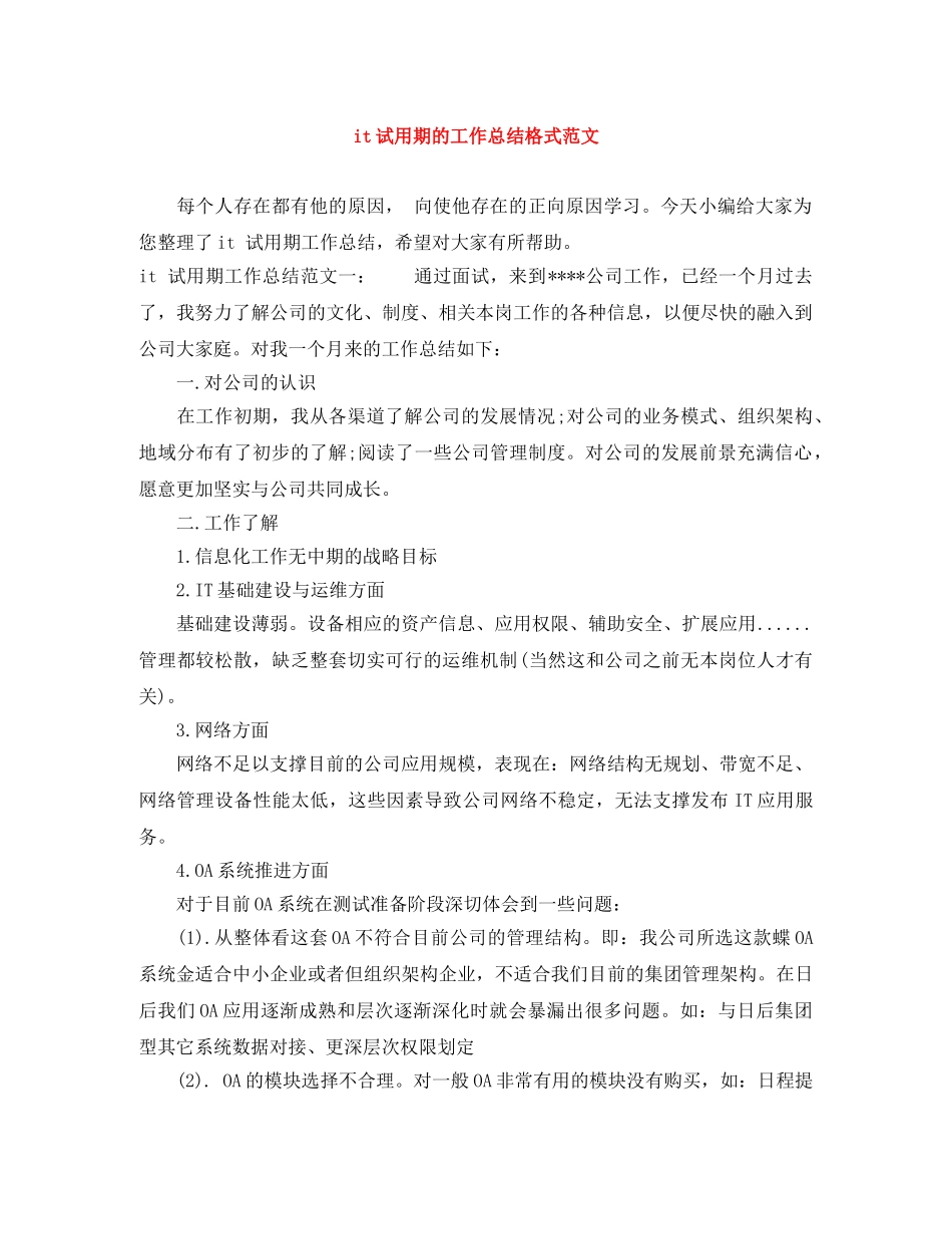 it试用期的工作总结格式范文 _第1页