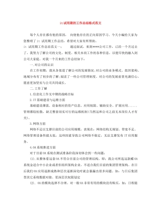 it试用期的工作总结格式范文 
