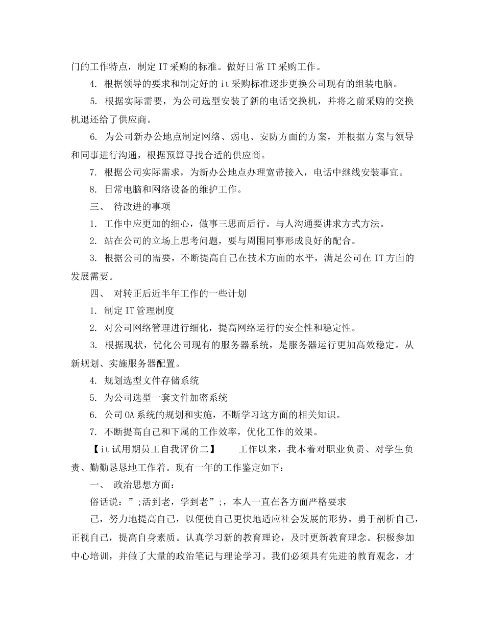 it试用期员工自我评价 _第2页