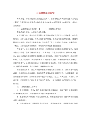 it试用期员工自我评价 