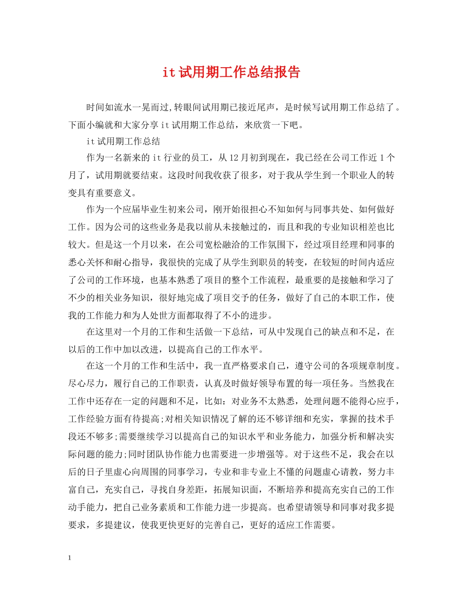 it试用期工作总结报告 _第1页