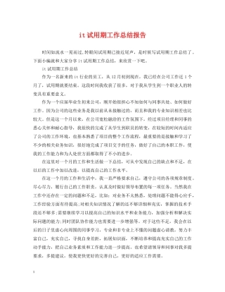 it试用期工作总结报告 