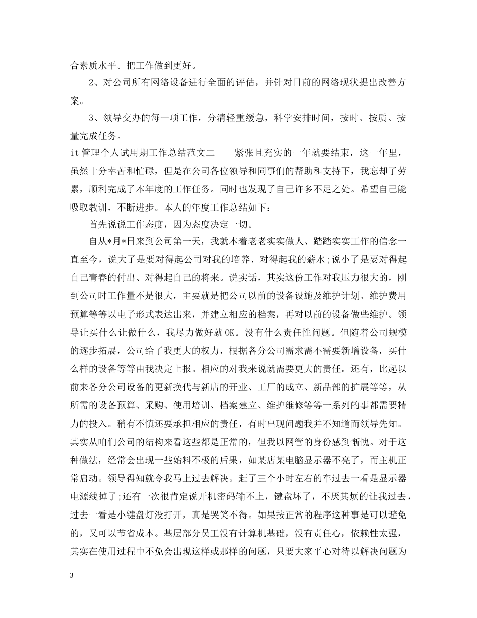 it管理个人试用期工作总结 _第3页