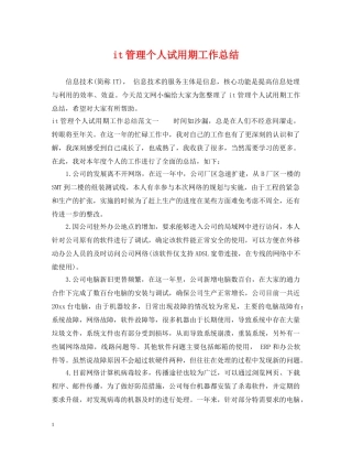 it管理个人试用期工作总结 