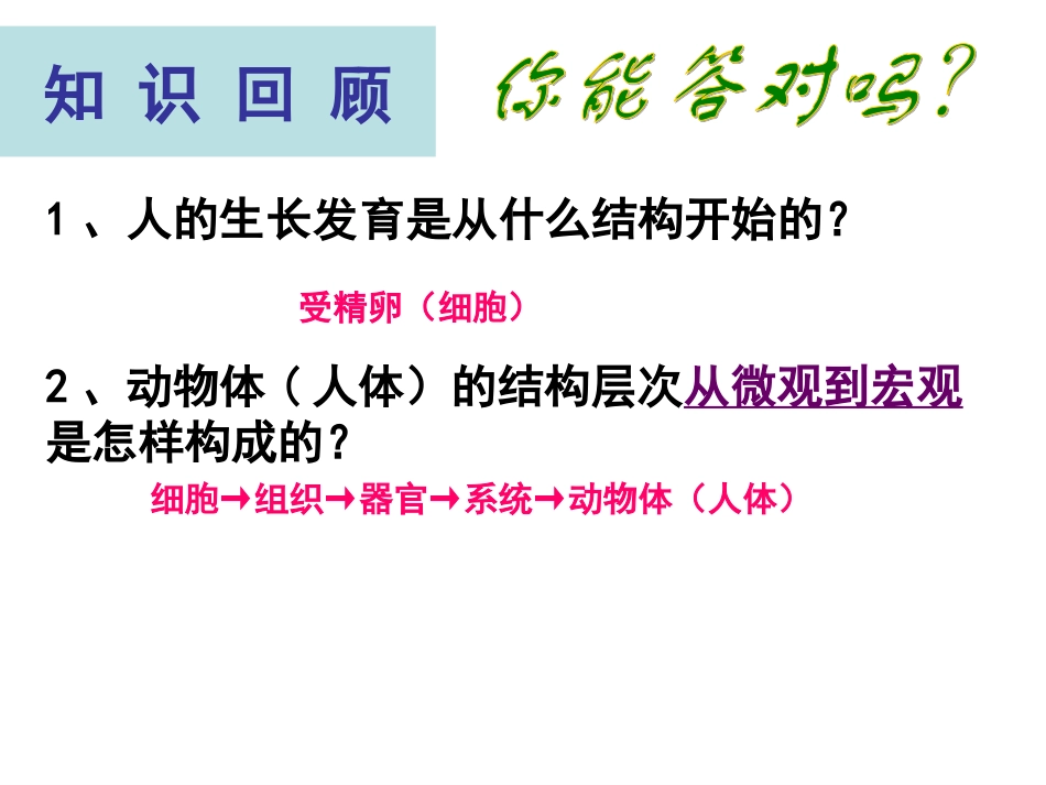 植物体的结构层次_第1页