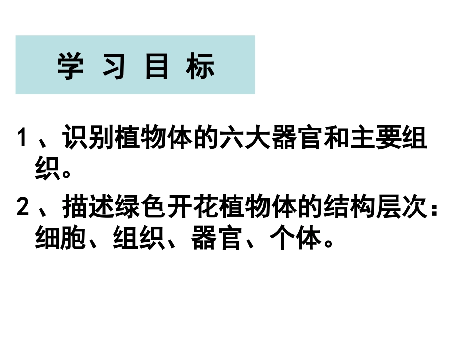 植物体的结构层次_第2页