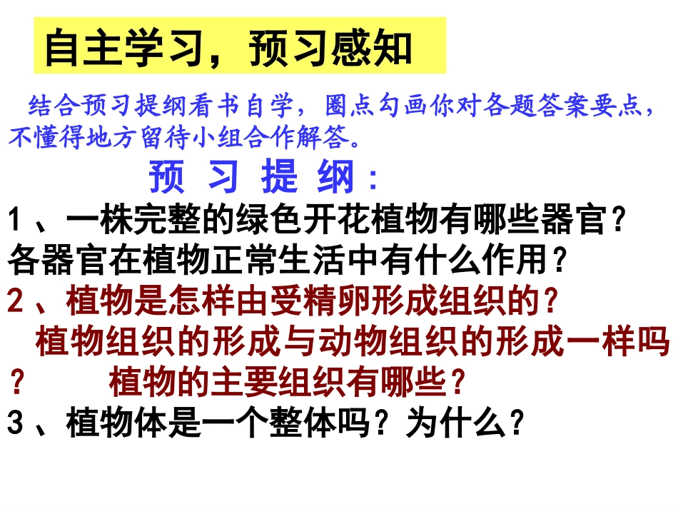 植物体的结构层次_第3页