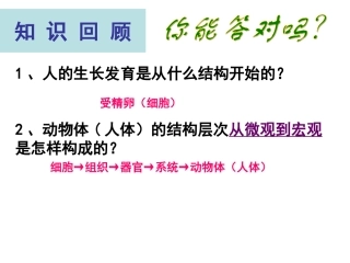 植物体的结构层次