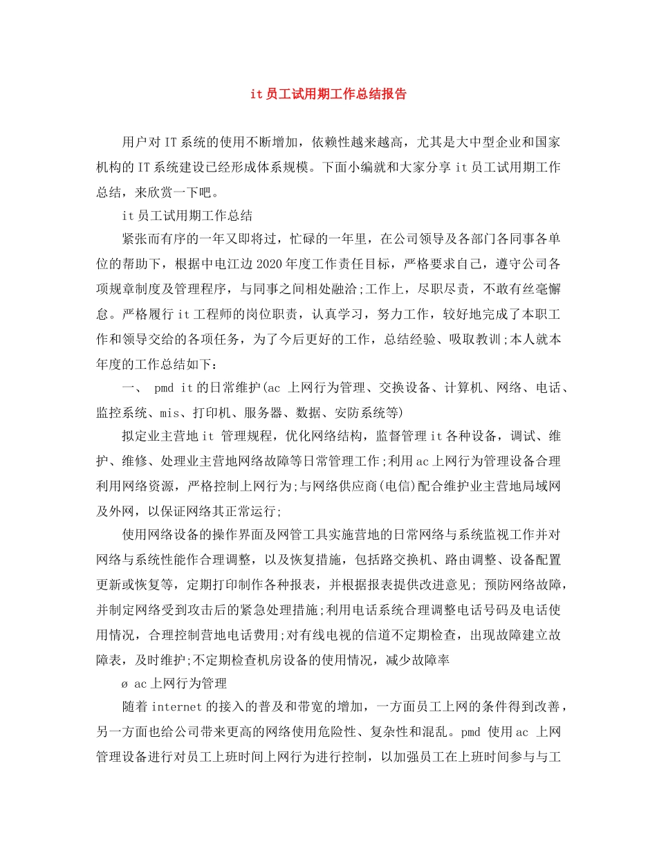it员工试用期工作总结报告 _第1页