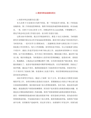 it商务年终总结报告范文 