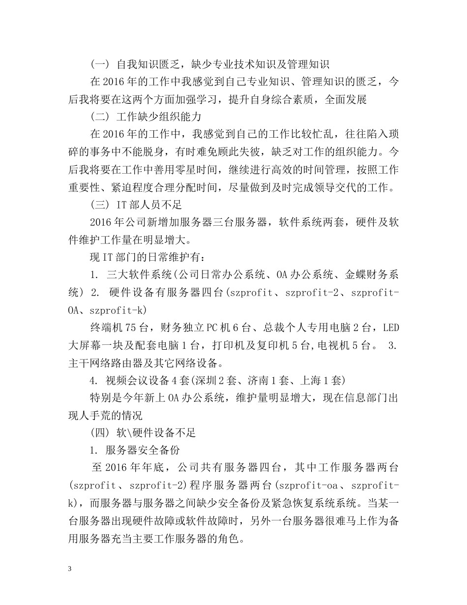 it工作总结格式 _第3页