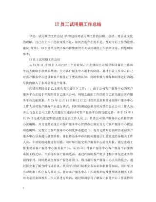 IT员工试用期工作总结 