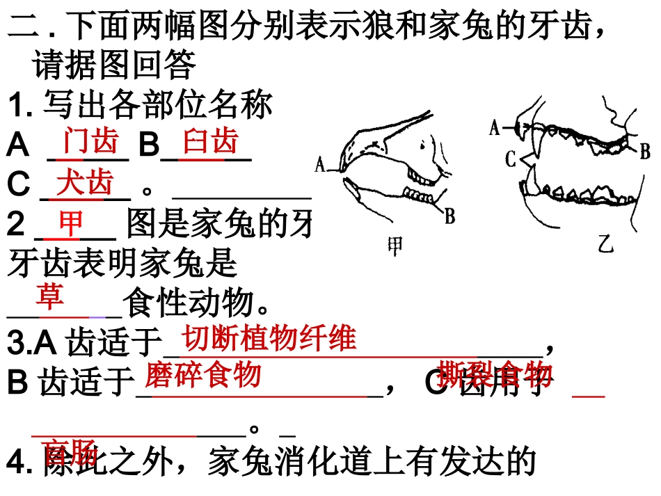 八年级生物上册识图题演示文稿1_第2页