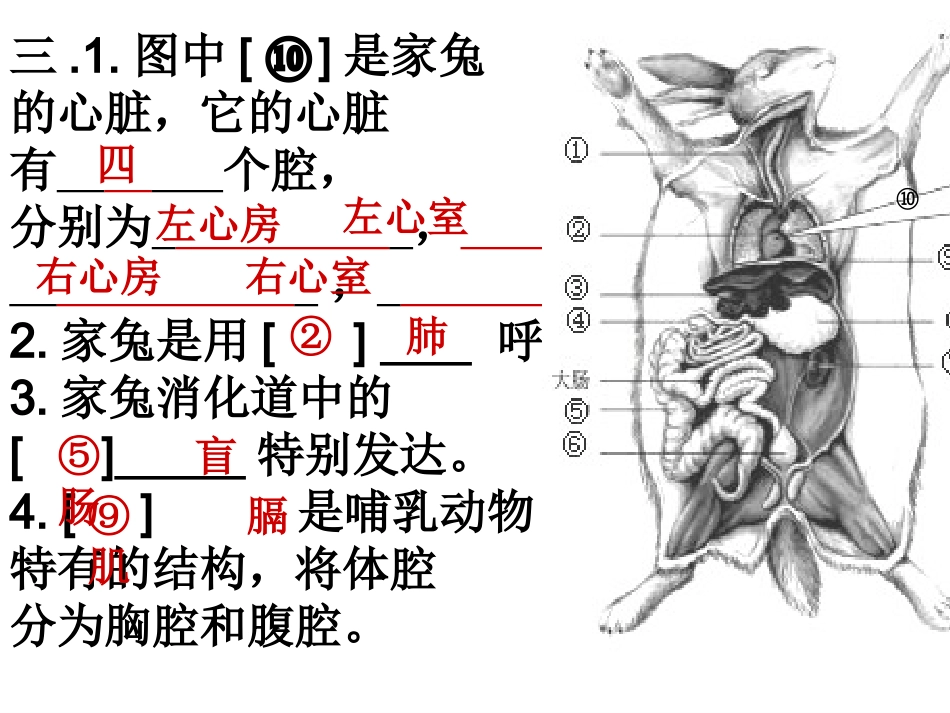 八年级生物上册识图题演示文稿1_第3页
