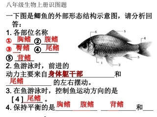 八年级生物上册识图题演示文稿1
