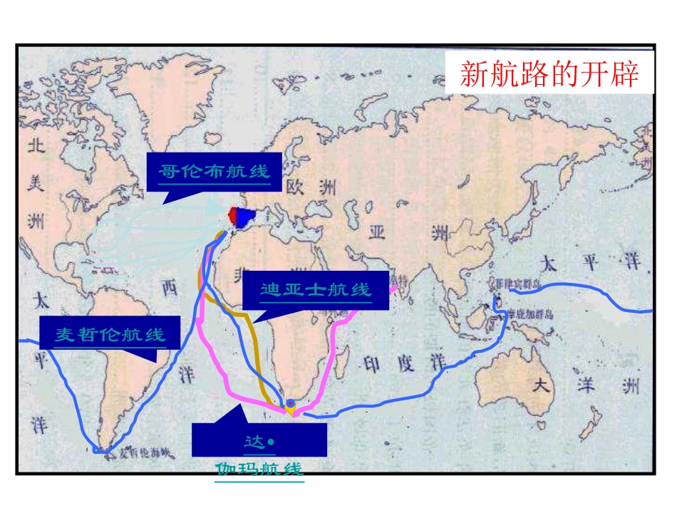 08殖民扩张和世界市场的拓展_第3页