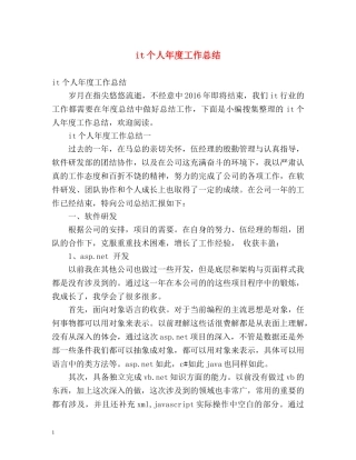 it个人年度工作总结 (2) 