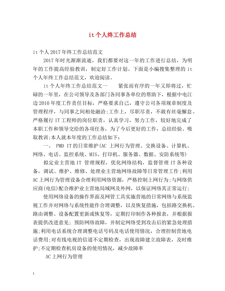 it个人终工作总结 _第1页