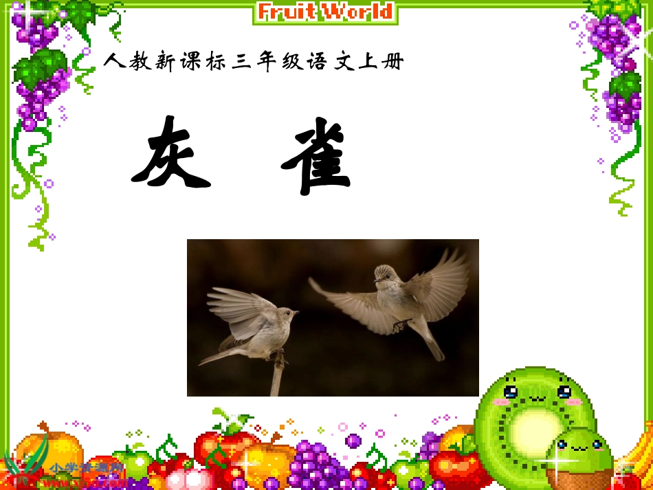 《灰雀》PPT课件_第2页