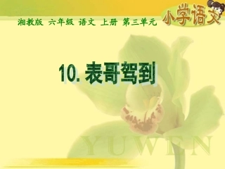 《表哥驾到》01