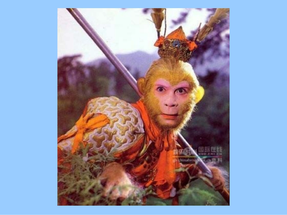 我是什么PPT课件_第1页