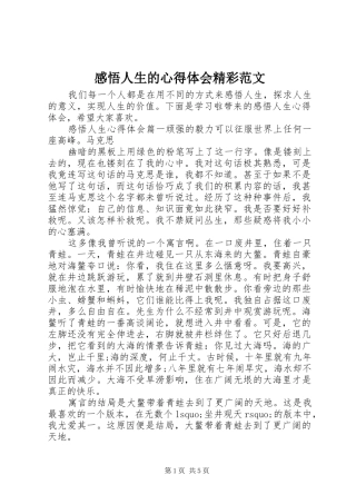 感悟人生的心得体会精彩范文