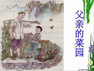 《父亲的菜园》教学课件2