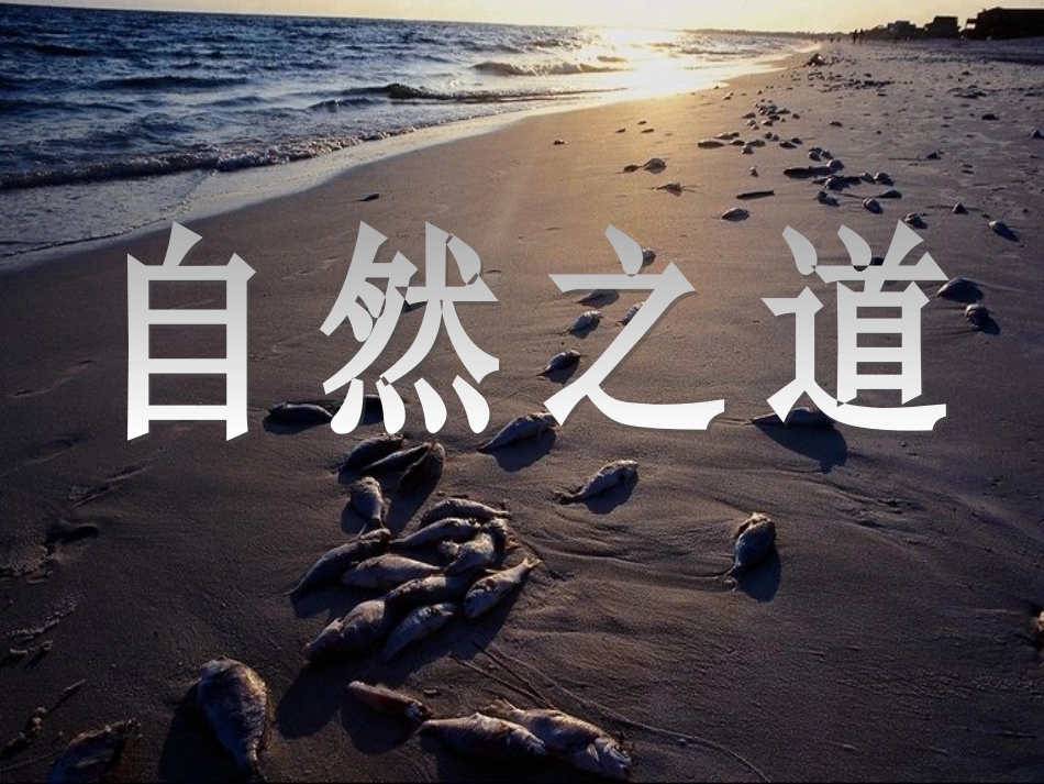 《自然之道》课件1_第1页