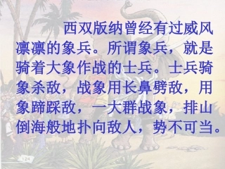 最后一头战象 (2)
